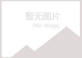 大新县迷茫水泥有限公司